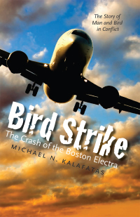 Titelbild: Bird Strike 9781584658979