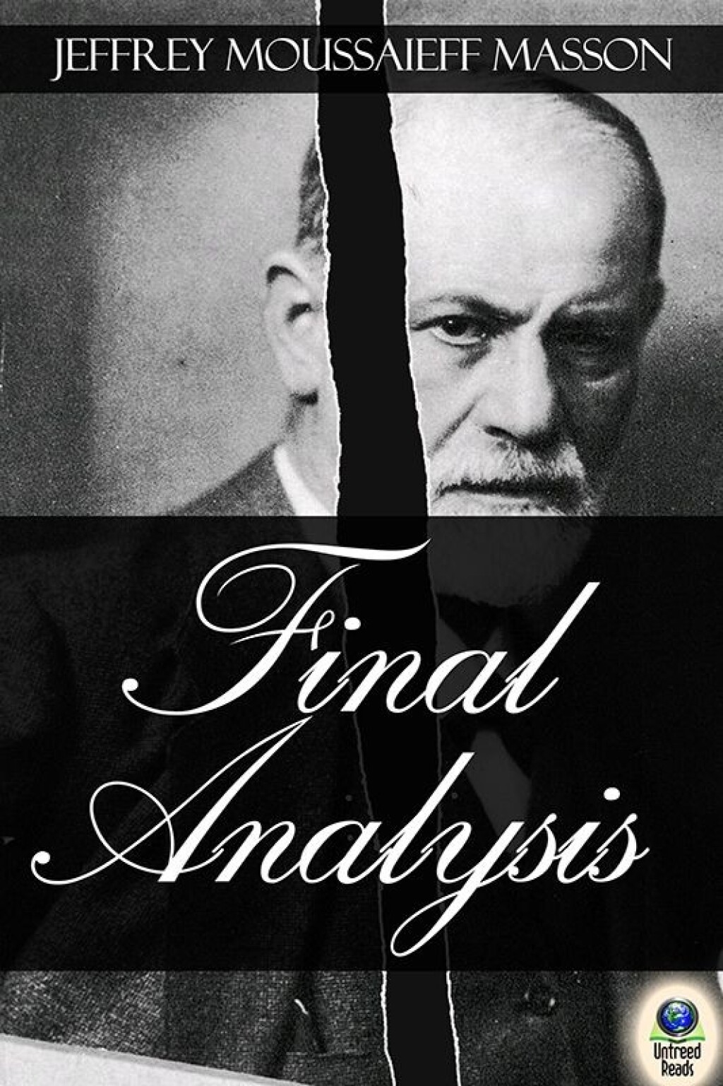 Final Analysis (eBook)
