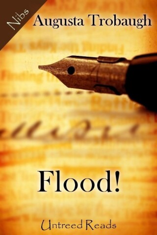 Cover image: Flood!