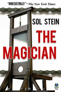 Cover image: The Magician 9781611875539