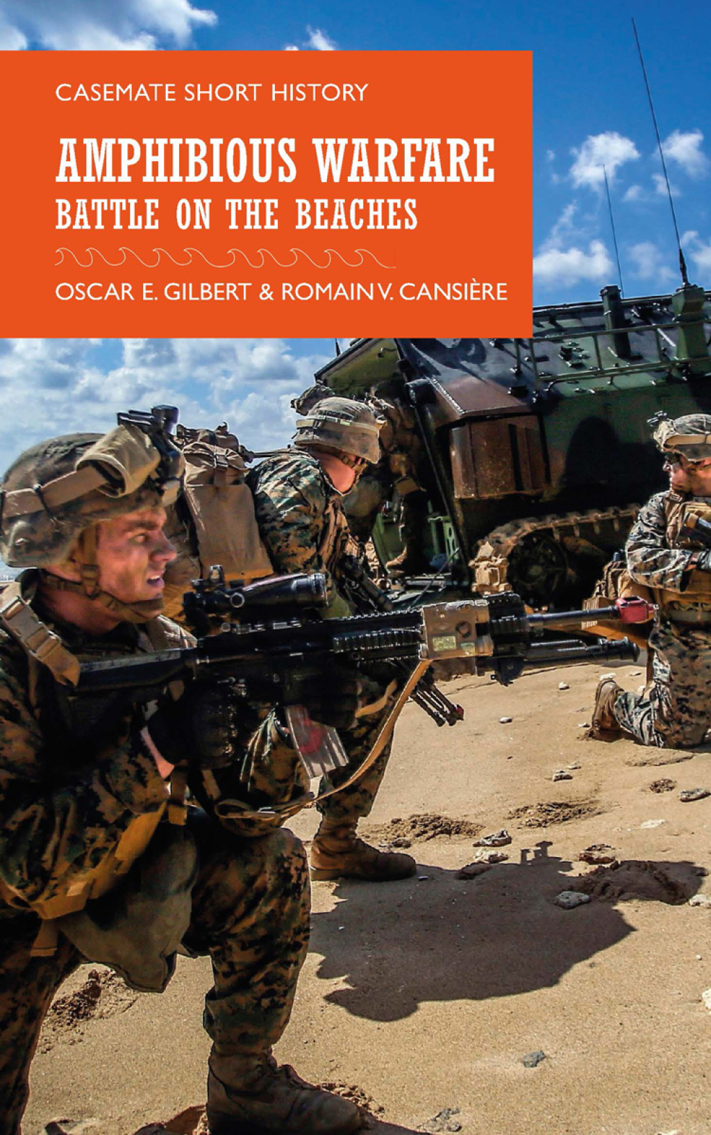 Amphibious Warfare Battle on the Beaches