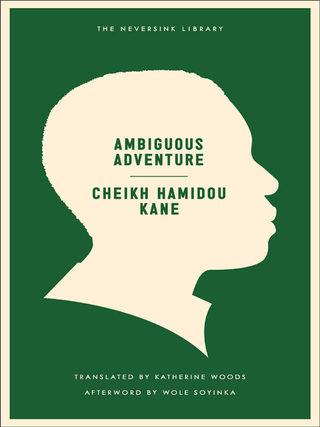 Cover image: Ambiguous Adventure 9781612190549