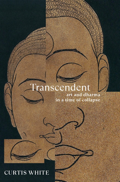 Transcendent - FULL INSTANT DOWNLOAD | PDF DOCX EPUB