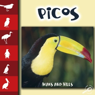 Cover image: Picos 9781604724646