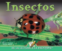 صورة الغلاف: Insectos 9781600448577