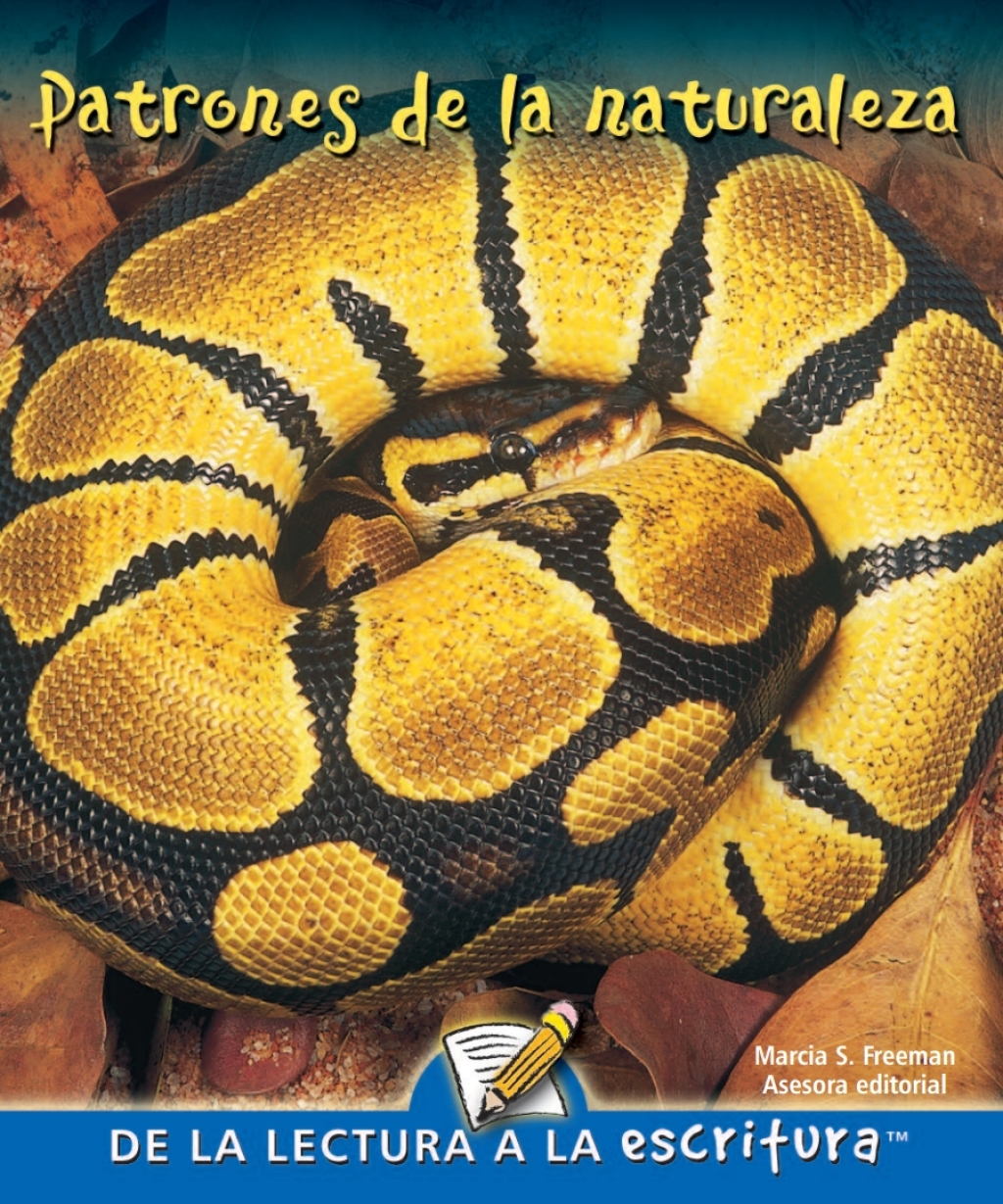 Patrones de la naturaleza Patterns In Nature