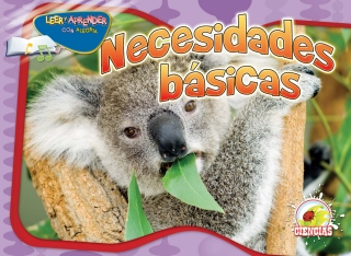 Imagen de portada: Necesidades básicas 9781617416743