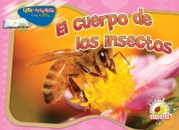 Imagen de portada: El cuerpo de los insectos 9781617416774