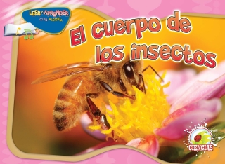 صورة الغلاف: El cuerpo de los insectos 9781617416774