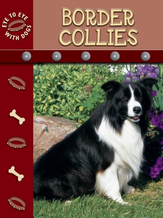 صورة الغلاف: Border Collies 9781612362557