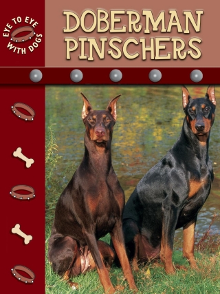 Cover image: Doberman Pinschers 9781612362595