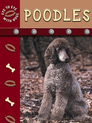 Imagen de portada: Poodles 9781612362656