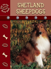 表紙画像: Shetland Sheepdogs 9781600442438
