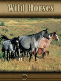 Cover image: Wild Horses 9781606949344