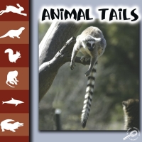 صورة الغلاف: Animal Tails 9781600441677