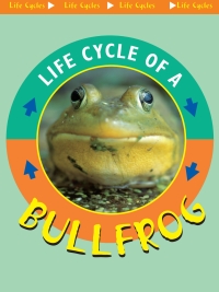 Cover image: Life Cycle of A Bullfrog 9781612362885