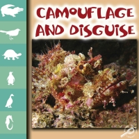 Omslagafbeelding: Camouflage and Disguise 9781595155320