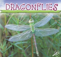 Imagen de portada: Dragonflies 9781595157409
