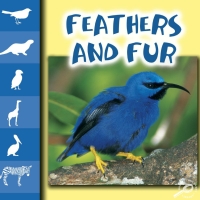 Imagen de portada: Feathers and Fur 9781612363066