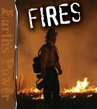 表紙画像: Fires 9781612363073