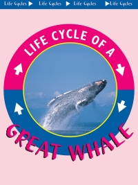 Imagen de portada: Great Whale 9781612363141