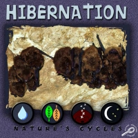 Omslagafbeelding: Hibernation 9781612363165