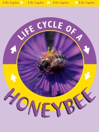 صورة الغلاف: Honeybee 9781612363189