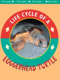 Cover image: Loggerhead Turtle 9781612363363