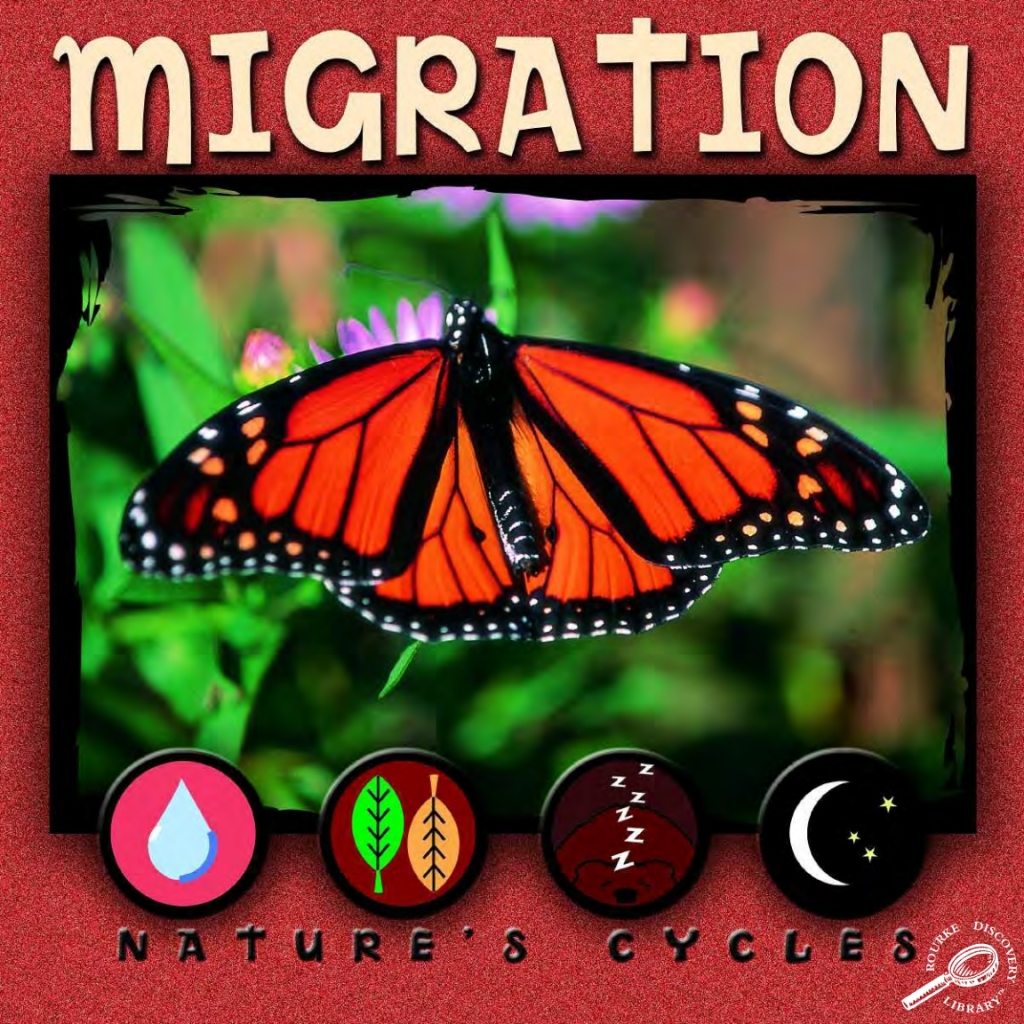 Migration (eBook)