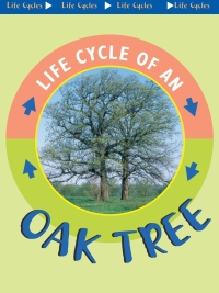 Imagen de portada: Oak Tree 9781612363493