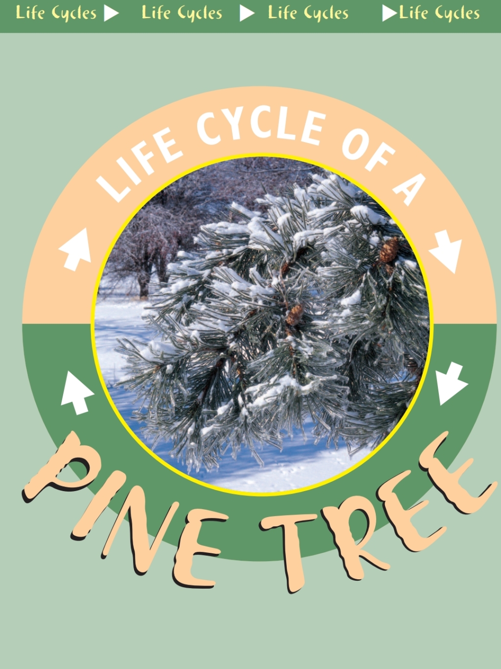Pine Tree (eBook)