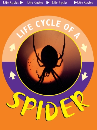 Imagen de portada: Spider 9781589527072