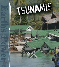 Imagen de portada: Tsunamis 9781600443435