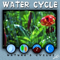صورة الغلاف: Water Cycle 9781612363905