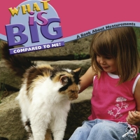 Cover image: What Is Big Compared To Me? 9781600446351