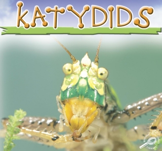 Imagen de portada: Katydids 9781595154279
