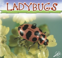 Imagen de portada: Ladybugs 9781612365084