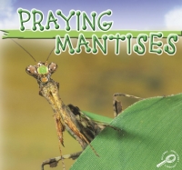 表紙画像: Praying Mantises 9781595154293