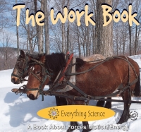 صورة الغلاف: The Work Book 9781595152930