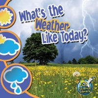صورة الغلاف: What's The Weather Like Today? 9781617419393