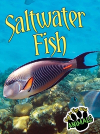 صورة الغلاف: Saltwater Fish 9781617419768