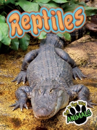 Imagen de portada: Reptiles 9781617419775
