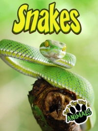 صورة الغلاف: Snakes 9781617419782