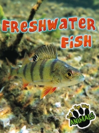 Imagen de portada: Freshwater Fish 9781617419799