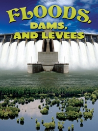 Imagen de portada: Floods, Dams, and Levees 9781617419881