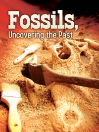 Cover image: Fossils 9781617419843