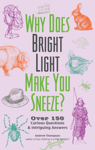 Imagen de portada: Why Does Bright Light Make You Sneeze? 9781612437996