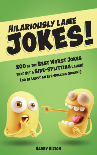 Imagen de portada: Hilariously Lame Jokes! 9781612438276