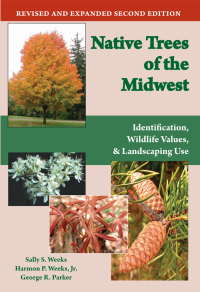 Omslagafbeelding: Native Trees of the Midwest 9781557532992