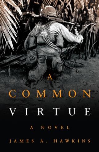 Cover image: A Common Virtue 9781612517964